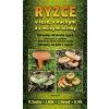 Ryzce – v lese, v kuchyni a s léčivými účinky - Socha Radomír