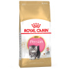 Royal Canin Persian Kitten - 4 kg