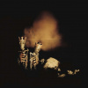 PEARL JAM - Riot Act (2 LP / vinyl)