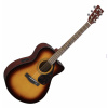 FSX315C TOBACCO BROWN
