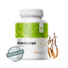 ❤️ MycoMedica CORDYCEPS PRO | Húsenica čínska | Ophiocordyceps sinensis | BIO ❤️ AKCIA: ✅ od 2 ks 📉 - 7 % až - 13 % ZĽAVA ❤️ 90 rastlinných kapsúl po 500 mg extraktu ❤️ MycoMedica® - KVALITNÉ P