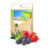 MYCORRHIZA FOR BERRIES hnojivo na jahody 750g (MYCORRHIZA FOR BERRIES hnojivo na jahody 750g)