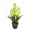 Umelá Zelená Orchidea 60cm