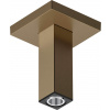 Hansgrohe Príslušenstvo - Sprchové rameno stropné, 11 cm, kefovaný bronz 24338140