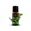 Day Spa BIO 100% Esenciálny olej Litsea 10 ml