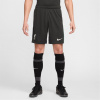 Nike Liverpool Away Shorts 2024 2025 Adults Teal 2XL