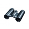 Vanguard Vesta 10x21 black pearl