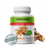 ❤️ MycoMedica CORDYCEPS 50 % | Húsenica čínska | Ophiocordyceps sinensis ❤️ AKCIA: ✅ od 2 ks 📉 - 7 % až - 13 % ZĽAVA ❤️ 90 rastlinných kapsúl po 500 mg extraktu ❤️ MycoMedica® - KVALITNÉ Prírod