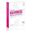 SILVERCEL 10 ks