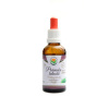 Salvia paradise Právenka latnatá AF tinktura 50 ml Andrographis paniculata