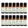 Plant Therapy Set Top 14 jednotlivých esenciálnych olejov 14 x 10 ml