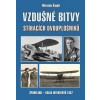 Vzdušné bitvy stíhacích dvouplošníků
