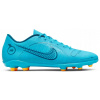 Lisovky Nike Vapor 14 FG DJ2903 484 veľ. 44,5 28,5 CM