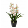 Umelá Orchidea 60cm