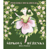 Šípková Růženka - Klára Trnková