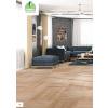Dabex Dubová vrstvená parketa-vzor rybia kosť 11x70x490 avantgard triedenie, beige waxoil, cross cater, 4V hrana