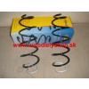 Citroen C3 4/02-11/05 predné pružiny 1,1i-1,4i Sada L+P
