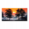 Foto obrázok sklo Sunset Forest 140x70 (Foto-Photo akrylový západ slnka 140x70 cm)