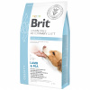 Brit Diety (VAFO Praha s.r.o.) Brit GF Veterinary Diets Dog Obesity 2kg