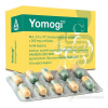Yomogi cps.dur.10 x 250mg