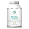 METHYL FAKTORY - B1 + Betain + B2 + B6 + Kyselina listová (L-Methylfolát) + Vitamín B12 a Zinek, 60 kapslí