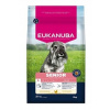Eukanuba Dog Life Care Mature krmivo pre staršie psy malých plemien 3kg