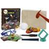 Archeologický set vykopávky hmyzu v jantáre