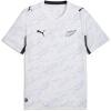 Puma Mens New Zealand Away Shirt World Cup 2026™ White/Silver M