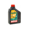 Motul Garden 4T SAE 30W 600 ml