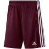 Adidas Squadra 21 Short Jr GN8081 (99756) White/Blue 152cm