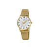 Retro Festina F20573/1