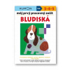 Môj prvý pracovný zošit Bludiská Giovanni K. Moto,Toshihiko Karakida,Yoshiko Muraka