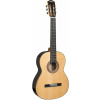 klasická gitara, CGC310