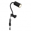 Globo 57911KB