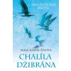 Malá kniha života Chalíla Džibrána - Douglas-Klotz Neil