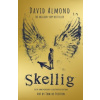 Skellig: the 25th anniversary illustrated edition