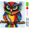 RealG RC-K-029 Diamantové maľovanie sada 5D, 20 x 20 cm, farebná sova