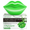 Sefudun Aloe Vera Lip Mask 60 g