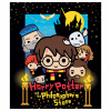 Eplusm Detská flísová deka Harry Potter a Kameň mudrcov čierna