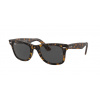 Ray-Ban RB2140 WAYFARER 1292B1