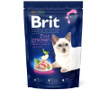 Brit Premium by Nature Cat Adult Chicken 1,5 kg