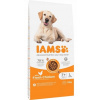 IAMS Dog Senior Large Chicken 12 kg