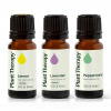 Plant Therapy Trio esenciálnych olejov citrón, levanduľa, mäta 3 x 10 ml