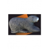 3.8.2. Terč 3D ELEVEN nutria (63018)