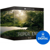 BOOM Library Tropical Jungle SURROUND (Digitálny produkt)