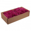 Stabilizovaný mach - lišajník islandský 500 g - fuksia