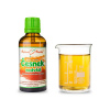 ČESNEK MEDVĚDÍ - bylinné kapky (tinktura) Duše rostlin 50 ml BYLINNÉ KAPKY