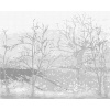 ZUTY Bodkovanie - RANNÝ SNIEŽIK PADAJÚCI NA STROMY V LESE Rámovanie: bez rámu a bez vypnutia plátna, Rozmer: 80x100 cm