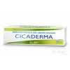 Cicaderma ung.der.1 x 30 g
