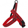 ACTIVE DOG postroj Neoprene